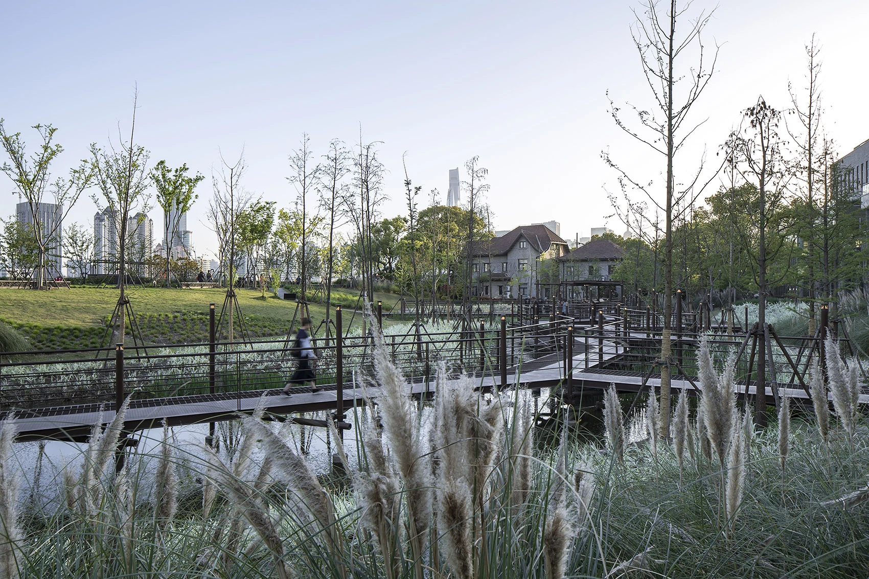 Wetland planting and a pedestrian bridge in the restored waterfront landscape
